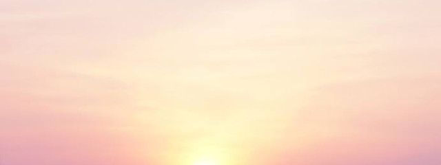 メロンさんの壁紙画像