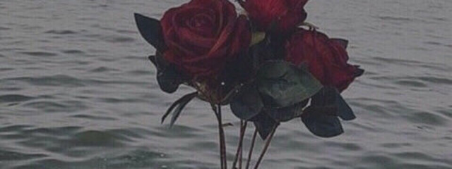 🥀 荊。さんの壁紙画像