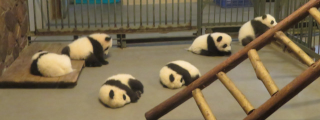 MAROさんの壁紙画像