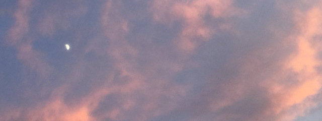 🍋レモン👑さんの壁紙画像