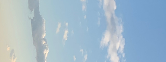 yuanninさんの壁紙画像