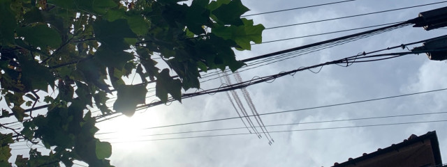 gigiさんの壁紙画像