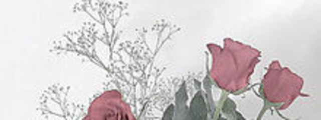 愛 芽 里 .·さんの壁紙画像