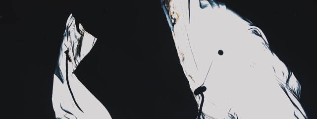 ど根性みかん🍊さんの壁紙画像