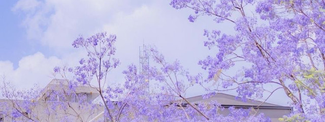 jvir_95さんの壁紙画像