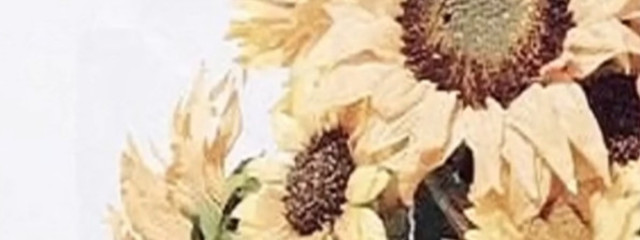 ♕ぽっぽ♕さんの壁紙画像