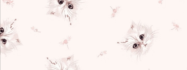 もぶおじ🍠さんの壁紙画像