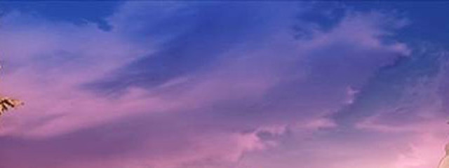 みすもちさんの壁紙画像