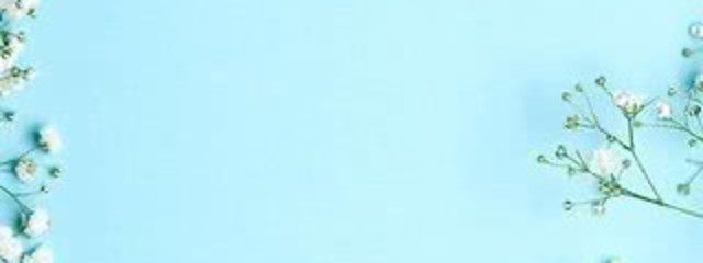 椿さんの壁紙画像