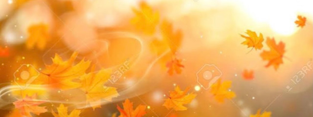 ❃yuzuki❃さんの壁紙画像