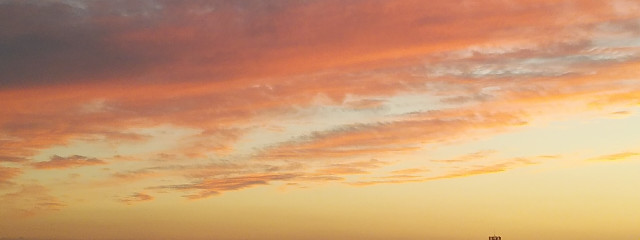 クマノミさんの壁紙画像