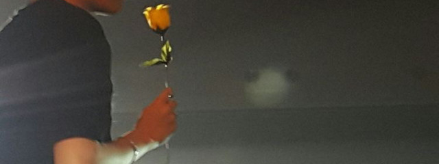 소유さんの壁紙画像