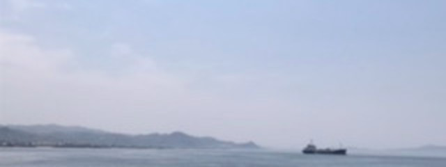 さばばば🐬💫さんの壁紙画像
