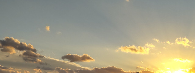 #Senritsuさんの壁紙画像