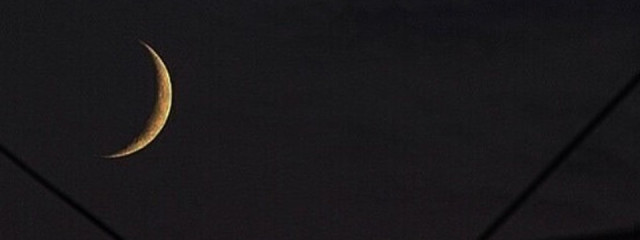 猫舌。さんの壁紙画像