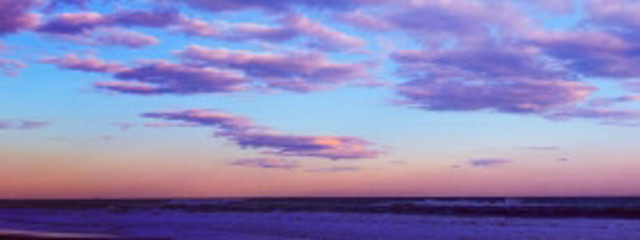 檸檬さんの壁紙画像