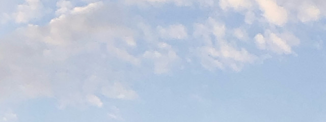 Roto.𖤐⡱さんの壁紙画像