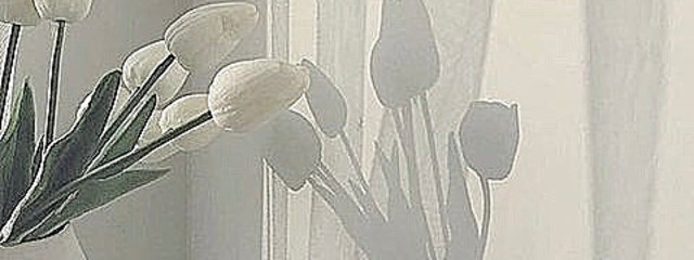 みーおんさんの壁紙画像