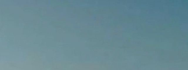 🈂️🦁さんの壁紙画像