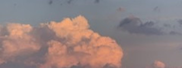 みかんさんの壁紙画像