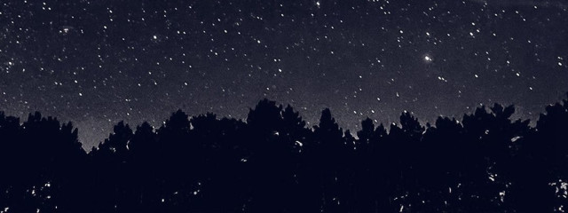 センさんの壁紙画像