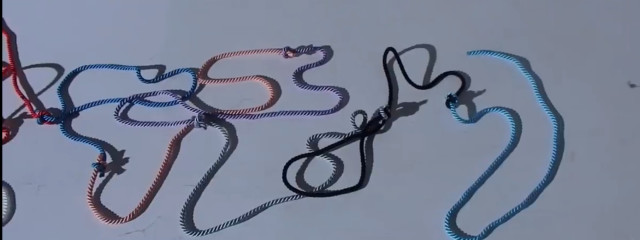 ねねこ☪︎*さんの壁紙画像