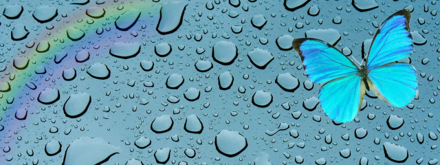 涙雨さんの壁紙画像
