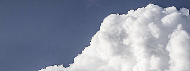 리さんの壁紙画像