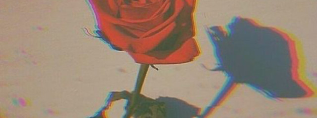 ℝ𝕦𝕟𝕒໒꒱· ﾟさんの壁紙画像