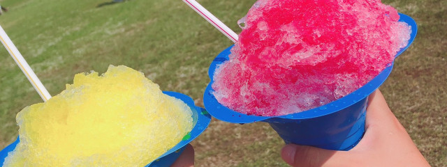 MINON( ･×･ )さんの壁紙画像