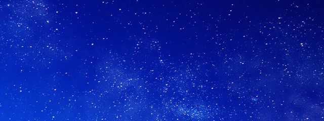 紫狐さんの壁紙画像