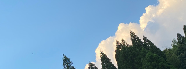 👻絶狼👻さんの壁紙画像