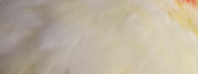 喜怒哀楽さんの壁紙画像