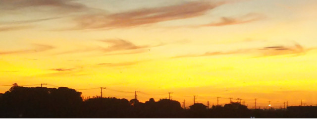 あいりさんの壁紙画像