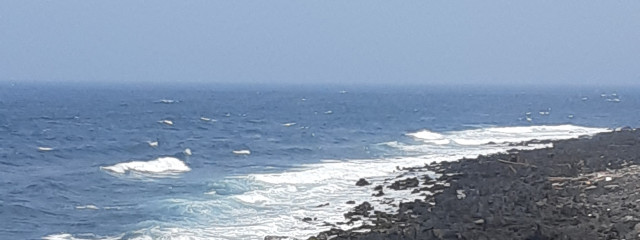 夜桃さんの壁紙画像