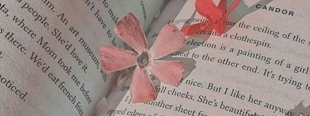 ℳℰℛ𝒰🥀🧸さんの壁紙画像