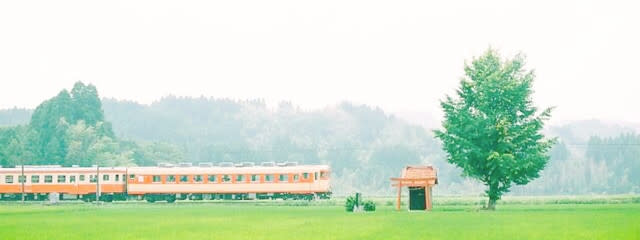 ❀miko❀さんの壁紙画像