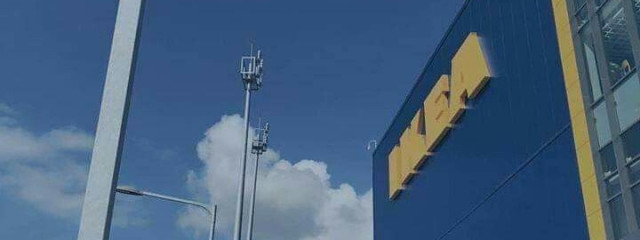 ぽんさんの壁紙画像