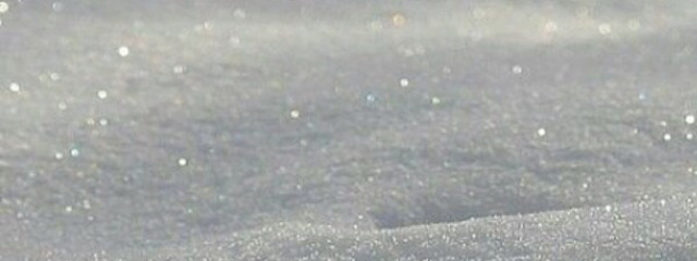 春星 . さんの壁紙画像