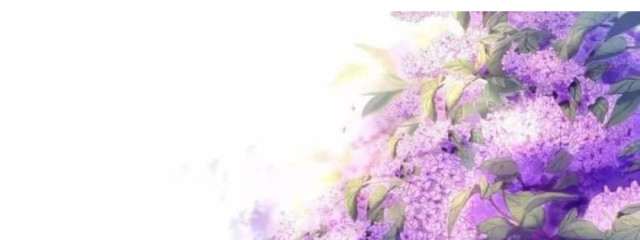 Spica_@227さんの壁紙画像
