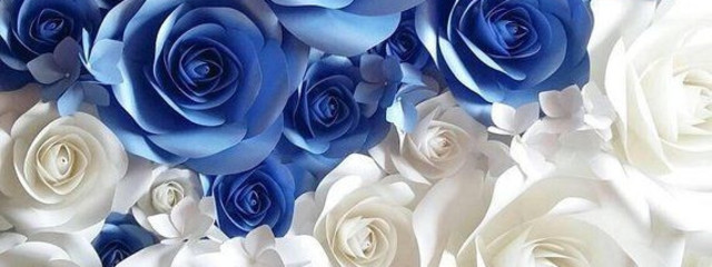 色蝶アゲハさんの壁紙画像