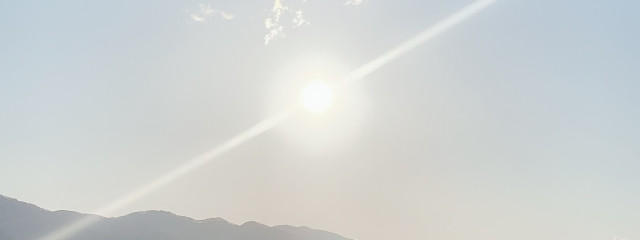 ぷくさんの壁紙画像