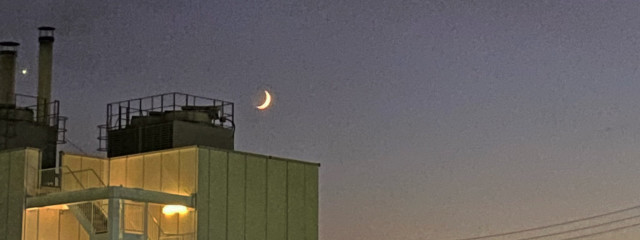 ゆうかさんの壁紙画像