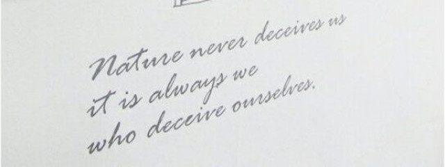 不憫ちゃんさんの壁紙画像