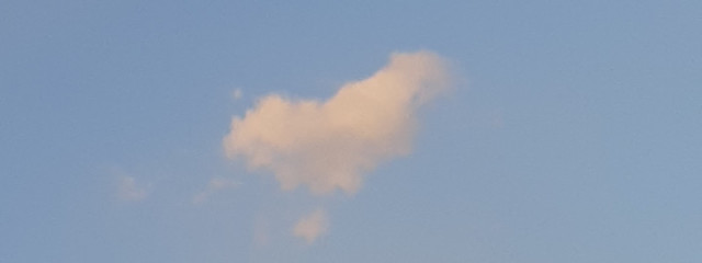 せーかさんの壁紙画像