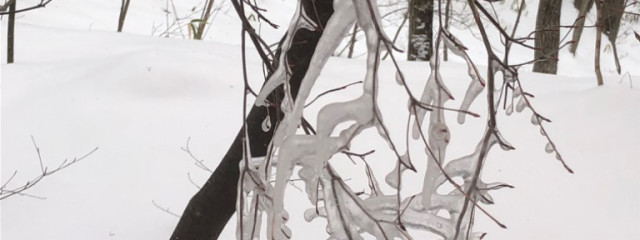 MIRUKUさんの壁紙画像