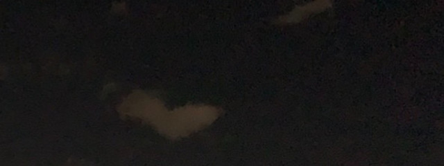 　　＿　陽 菜　｡　さんの壁紙画像