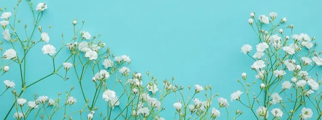 沼ごけぇええさんの壁紙画像