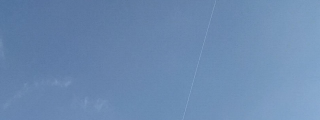 みかんさんの壁紙画像