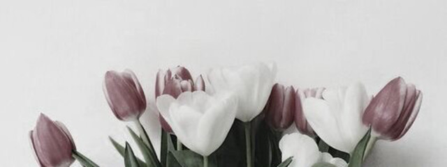 し ょ ご な つ ☁️ 💐さんの壁紙画像